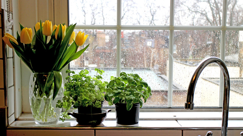 A rainy view out a kitchen window