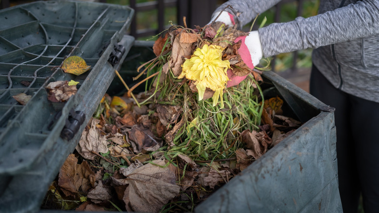 person adding to compost