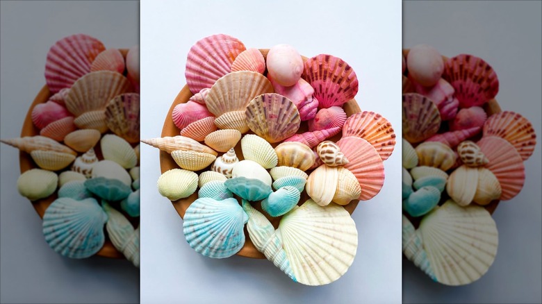 A bowl full of dyed seashells in a gradient of colors