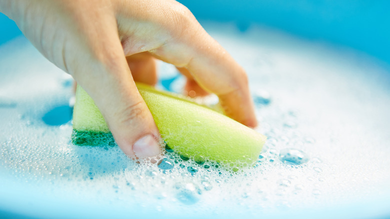 Hand holding sponge in water