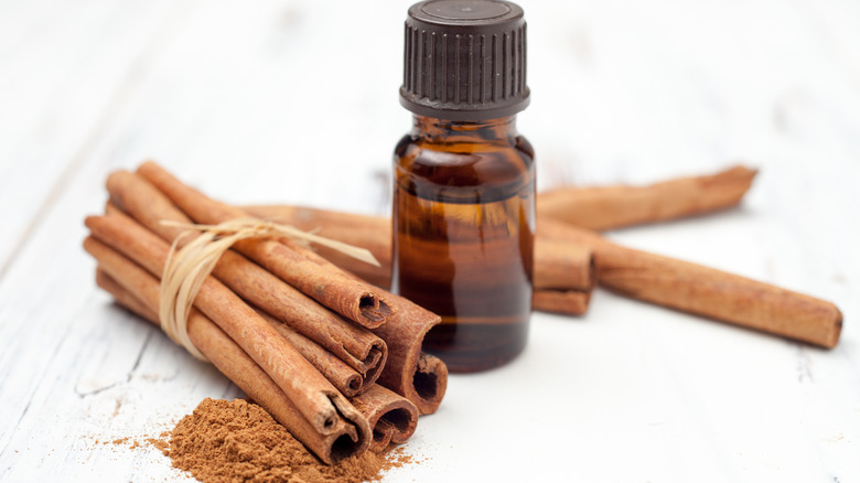 cinnamon oil, sticks, and powder