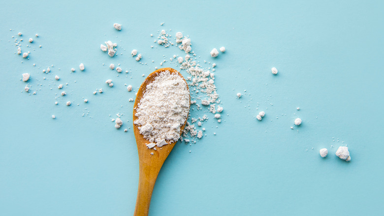Diatomaceous earth in a spoon