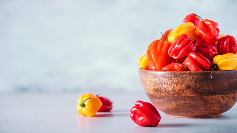 chili peppers in wooden bowl