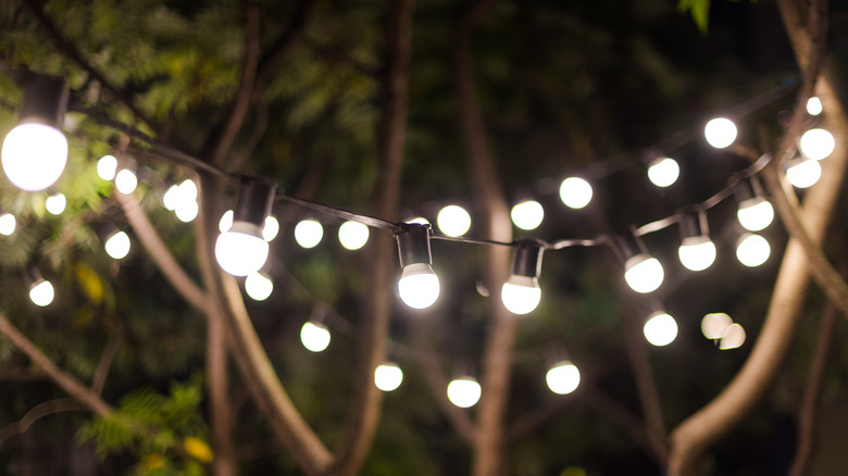 garland of light bulbs in tree branches