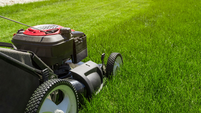 lawnmower on a grassy yard