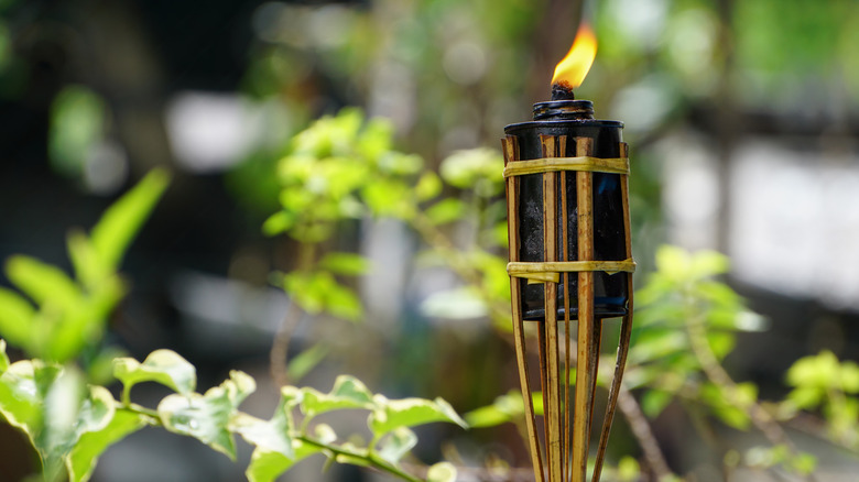 citronella torch in backyard