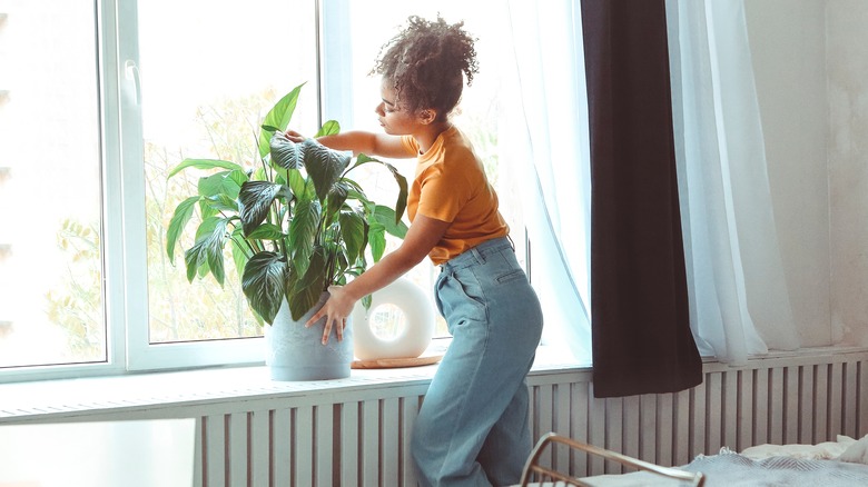 woman with plant in window