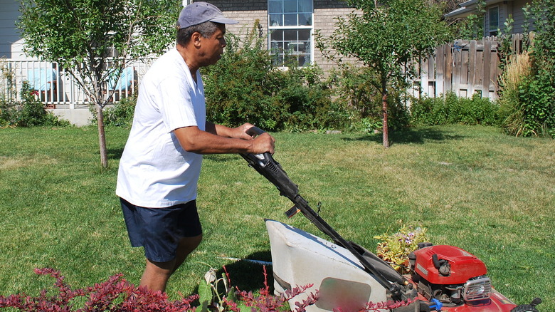 man mowing the lawn 