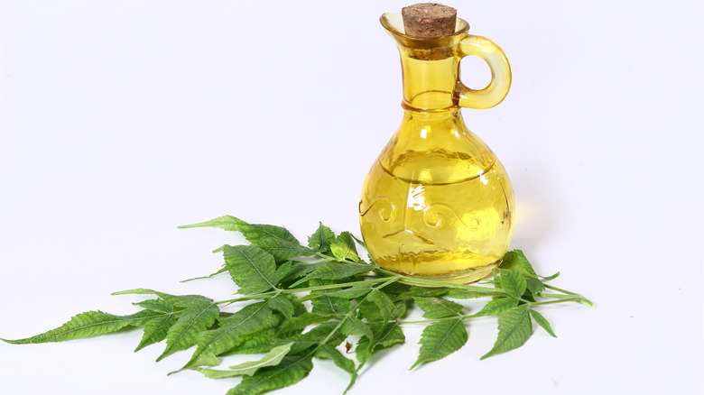 neem oil and leaves