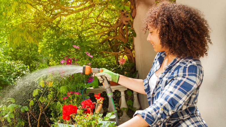 woman watering flowers