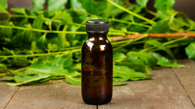 Neem leaf and oil