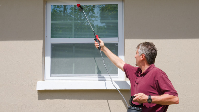 man spraying window 