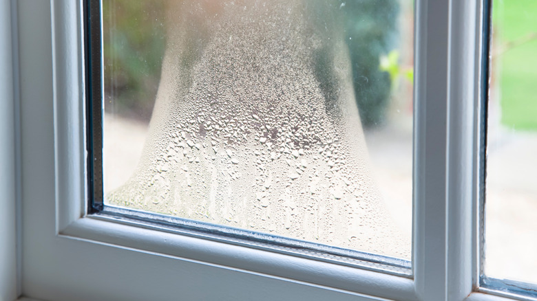 moisture on window 