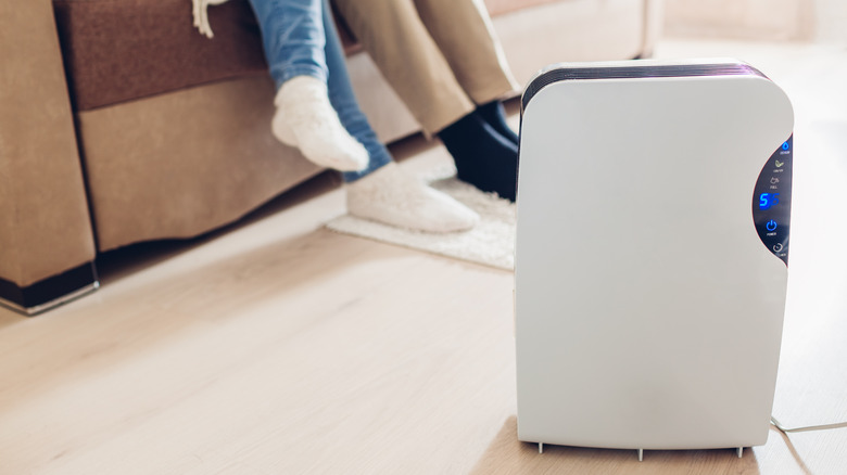 dehumidifier in living room 