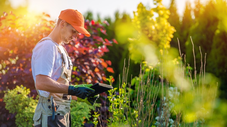 Lawn care professional