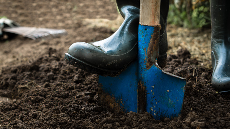 Shovel in soil