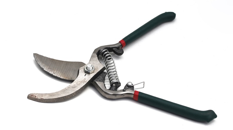 Pruning scissors