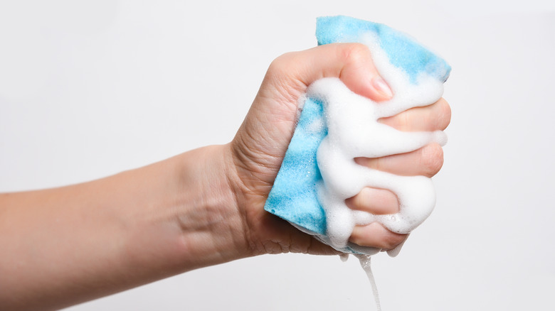 Hand gripping a soapy sponge