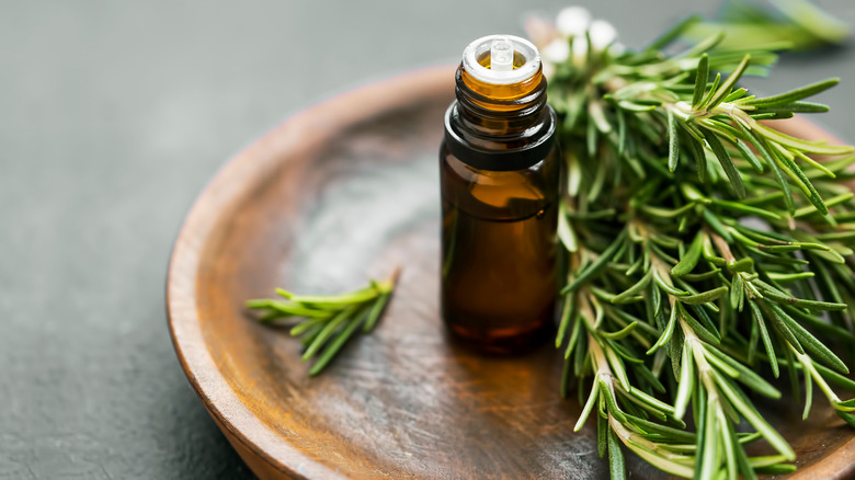 rosemary essential oil 