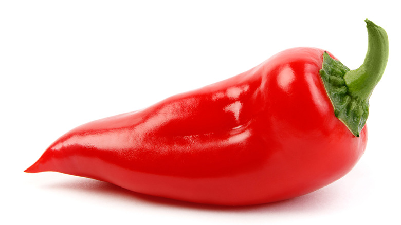 hot pepper 