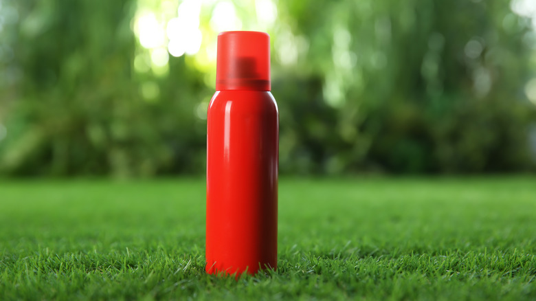 repellent spray in backyard