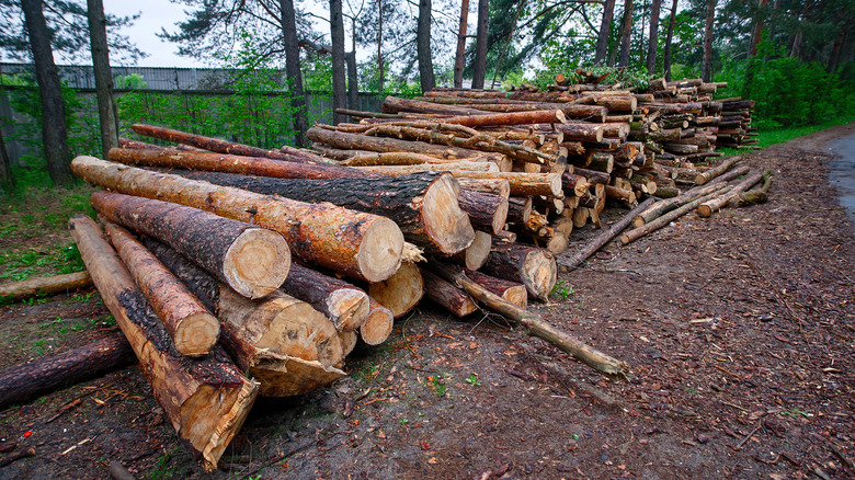 Stack of wood