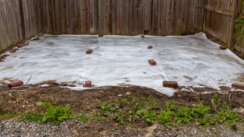 bricks on tap on lawn