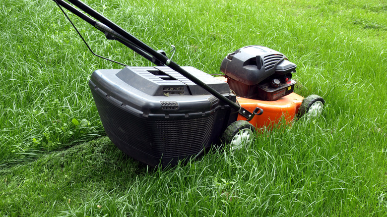 mowing long grass