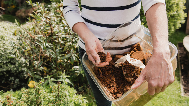 putting coffee grounds in a garden