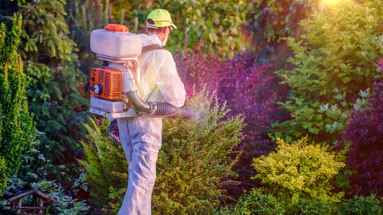 pest control worker in a yard