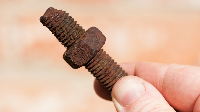 fingers holding rusty bolt