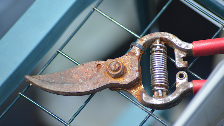 rusty pruning tool