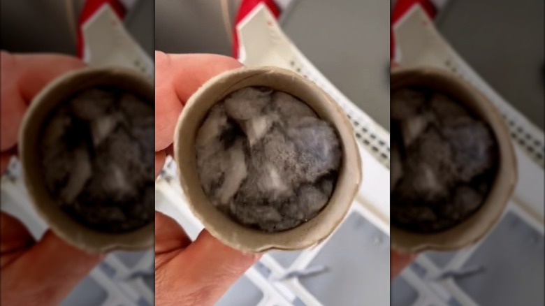 Toilet roll stuffed with dryer lint for kindling