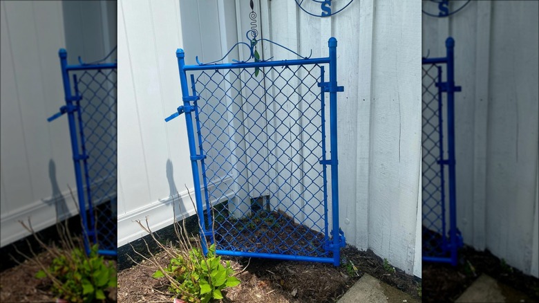 blue metal fence gate trellis