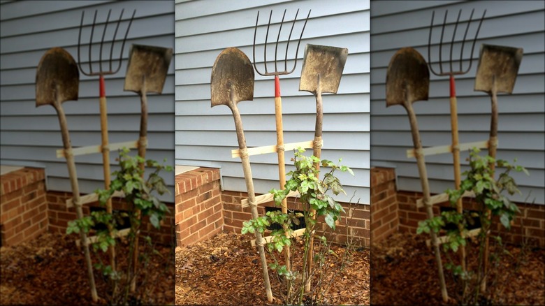 garden tool and wood trellis