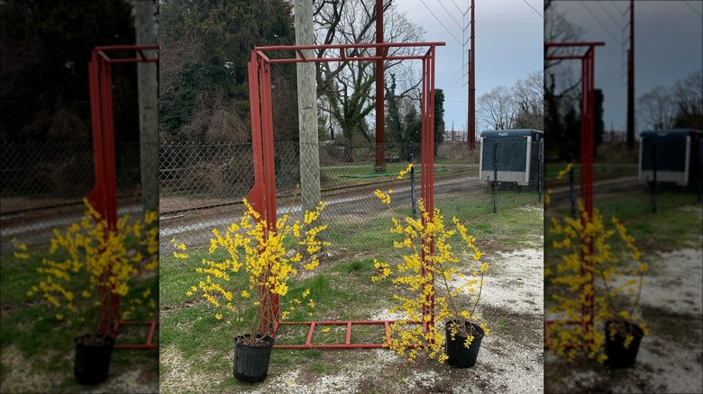 red repurposed cart trellis