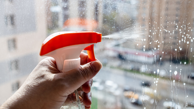 spraying cleaner on window