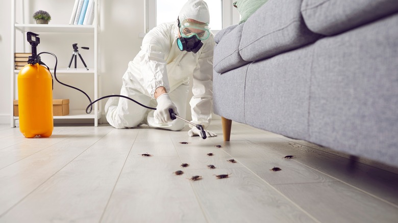 pest control pro treating home with cockroaches