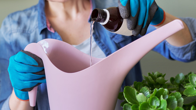 woman pouring liquid into watering can