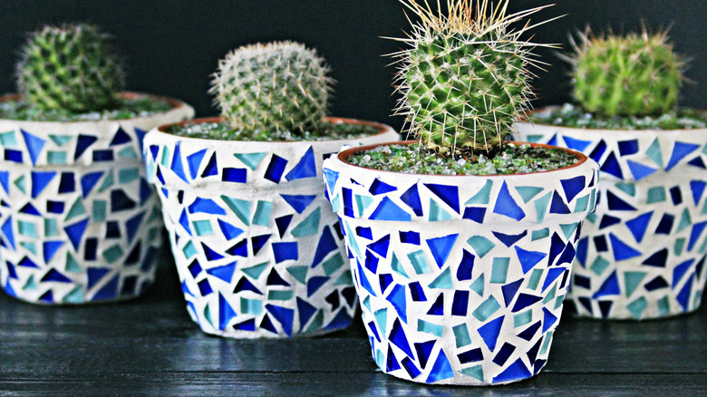 cacti in mosaic planter pots