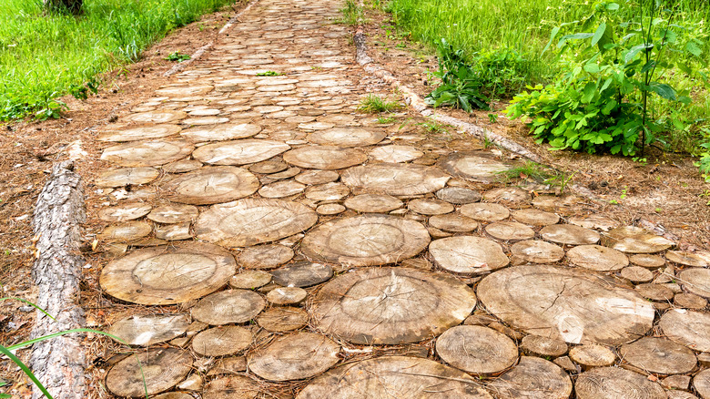 log slice pathway