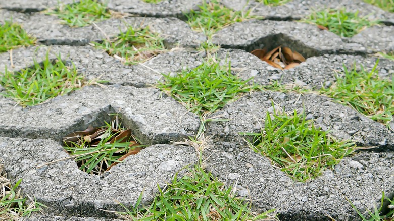 permeable grid walkway