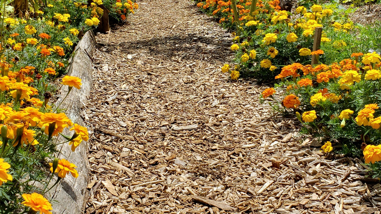 mulch pathway