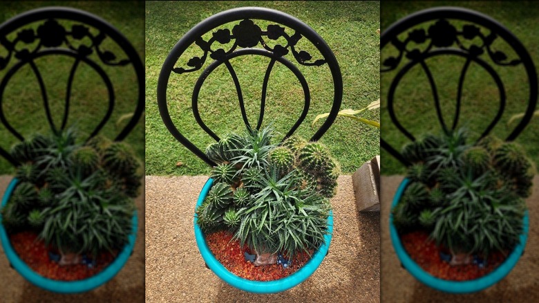 plant pots in patio chair