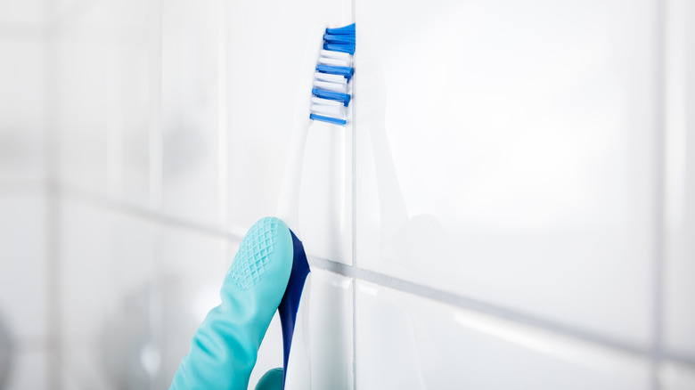 Cleaning white grout with toothbrush 