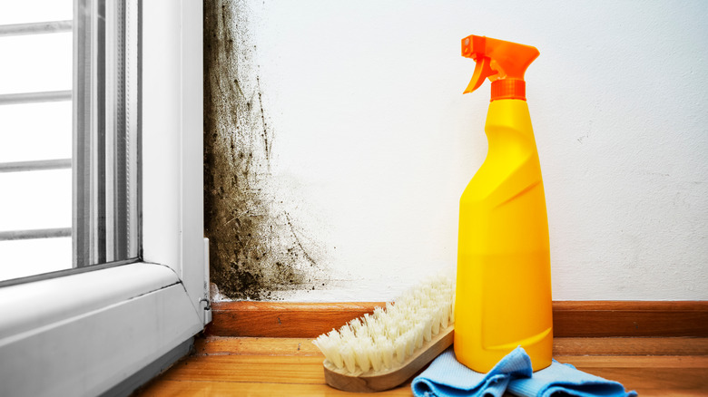 Cleaning mold and mildew