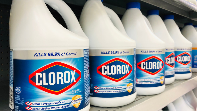 bleach Clorox bottles on shelf