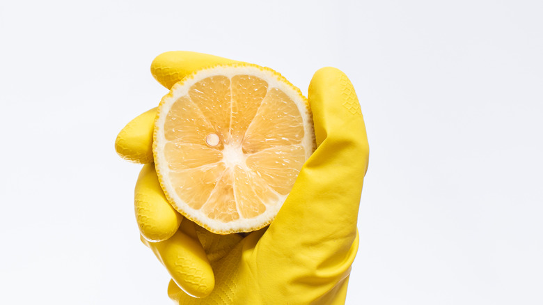 Hand holding lemon