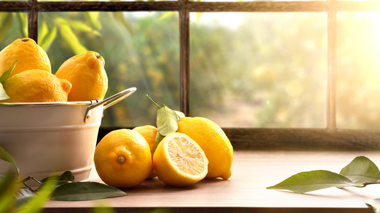 Lemons in bucket