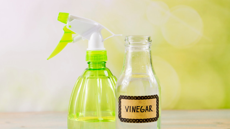 white vinegar spray bottle